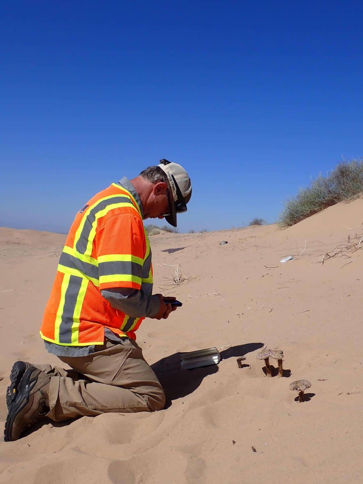 Soar botanist documenting plants during a rare-plant survey