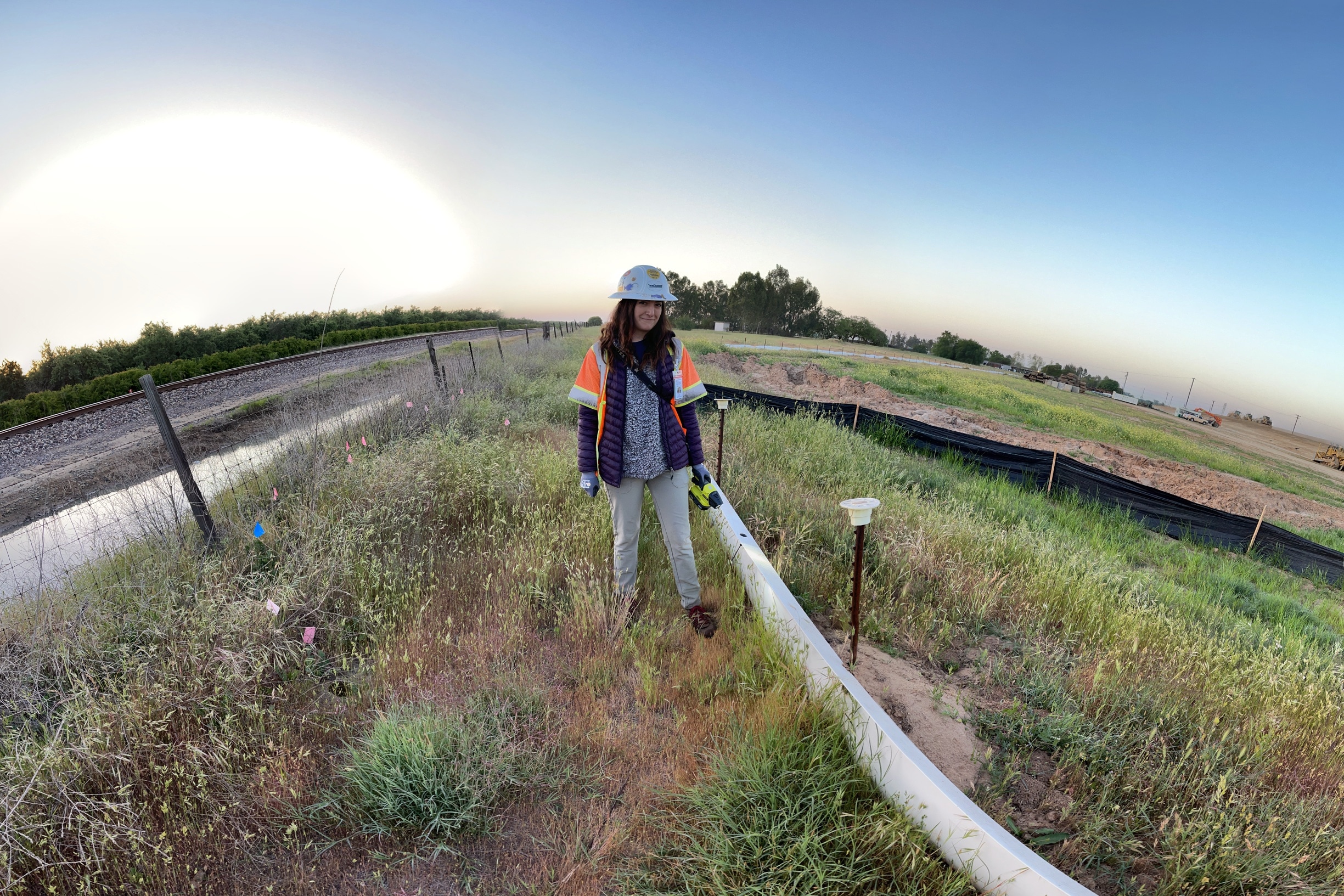 Biological survey along a project corridor at dawn