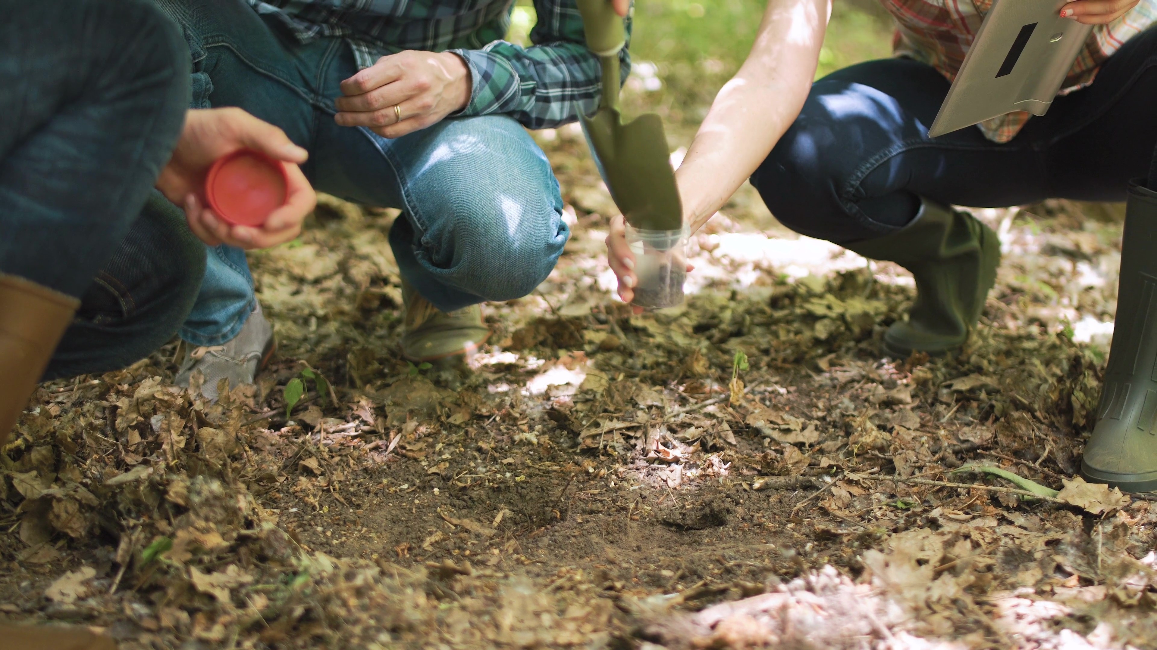 Soar field staff collecting a soil sample during a California survey