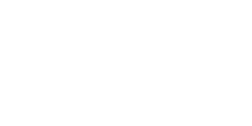 WSP